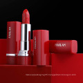 GMP Factory wholesale low price cosmetics multi-colored makeup matte waterproof lipstick